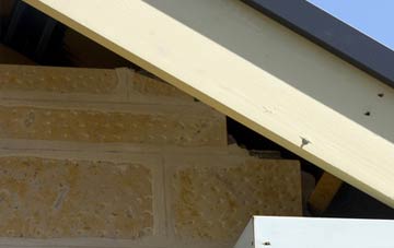 soffit repair Swan Village